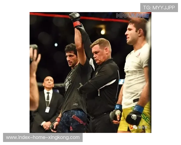 UFC地面压制行动太凶——揭示新时代格斗战术的秘密武器